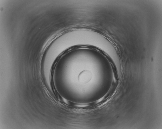 X0000081560293200701151154