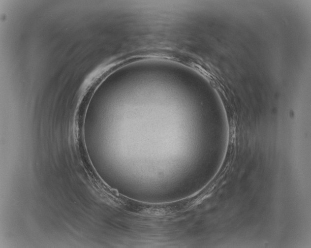 X0000081560294200701151153