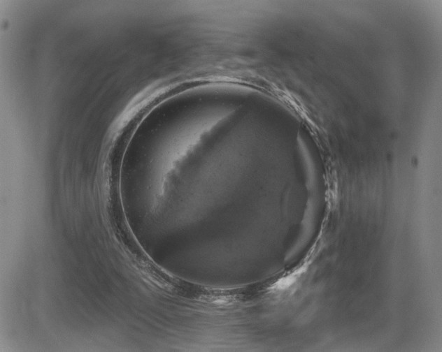 X0000081560295200701151153
