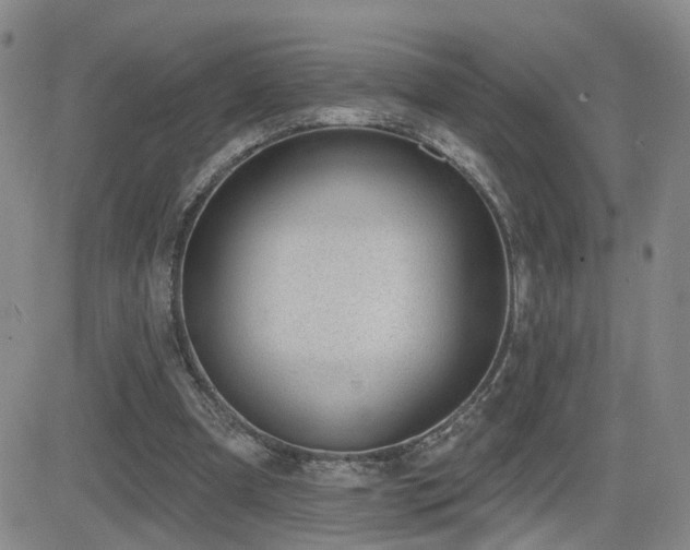 X0000081560297200701151153