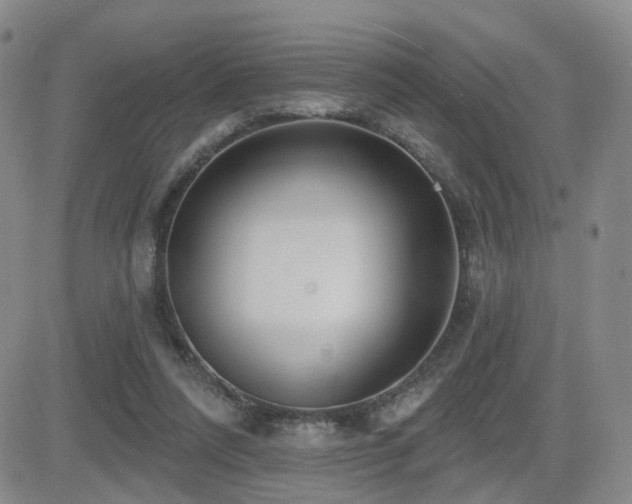 X0000081560304200701151153