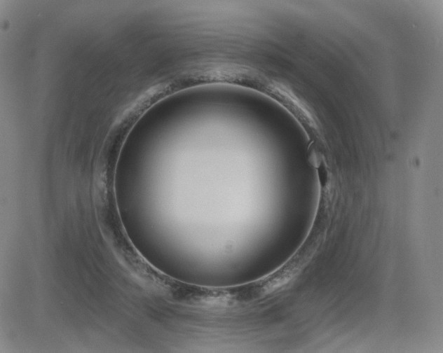 X0000081560306200701151153