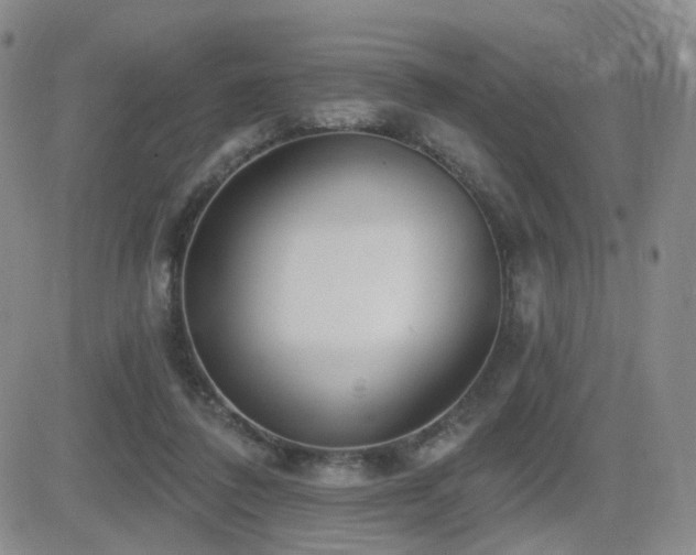 X0000081560308200701151153