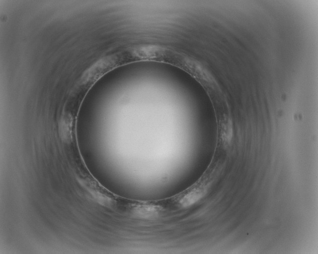 X0000081560332200701151153