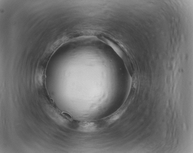 X0000081560334200701151153