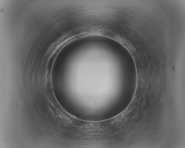 X0000081560338200701151152