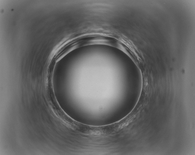 X0000081560344200701151152