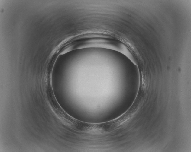 X0000081560348200701151152