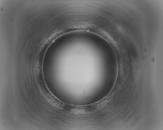 X0000081560354200701151152