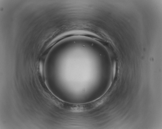 X0000081560362200701151152