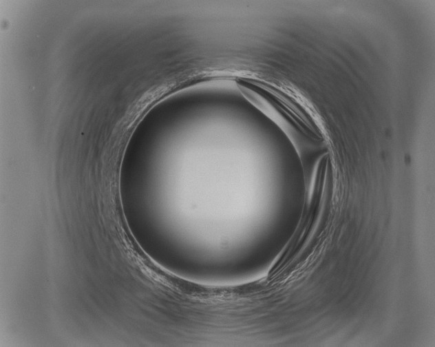 X0000081560385200701151152