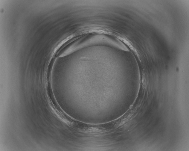 X0000081560390200701151152
