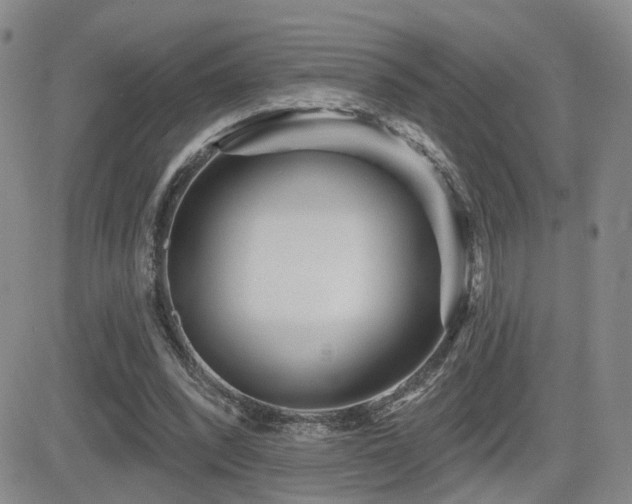 X0000081560392200701151152