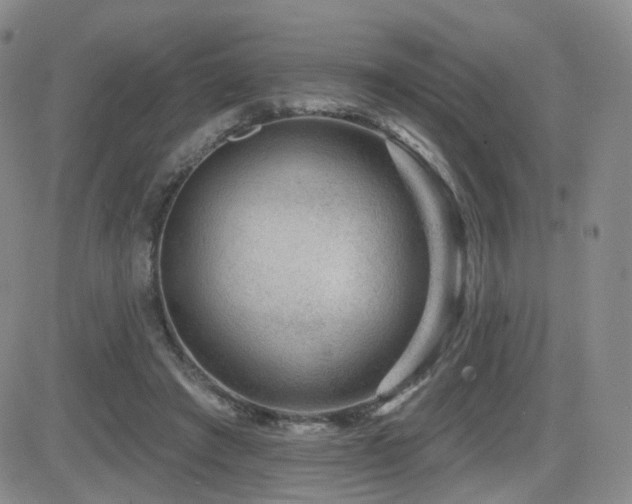 X0000081560401200701151152