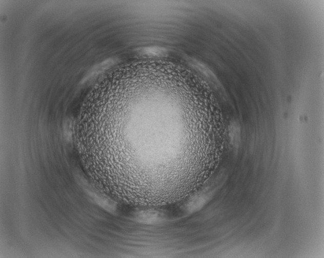X0000081560423200701151151