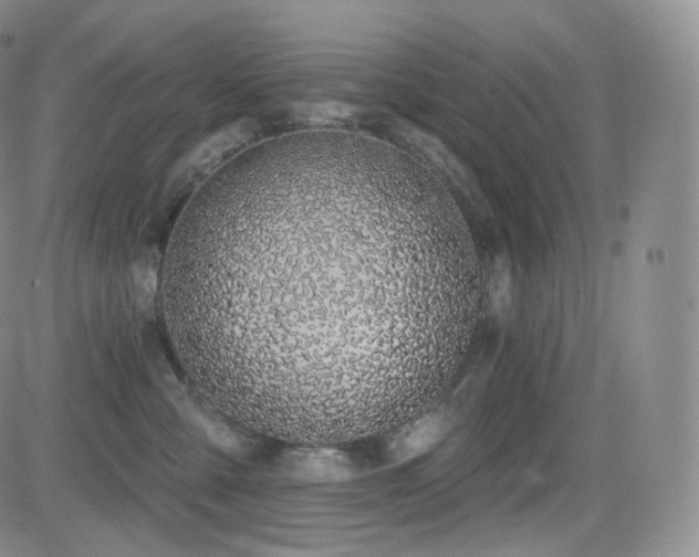 X0000081560427200701151151