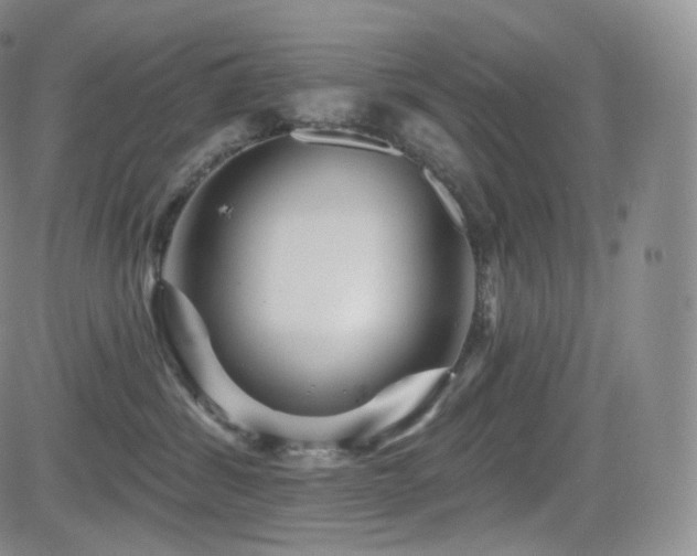 X0000081560428200701151151