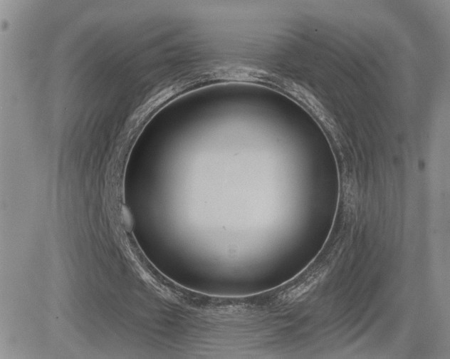 X0000081560433200701151150