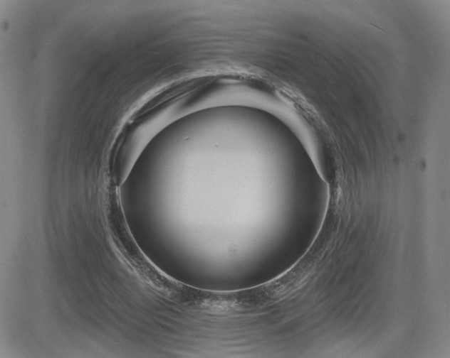 X0000081560440200701151151