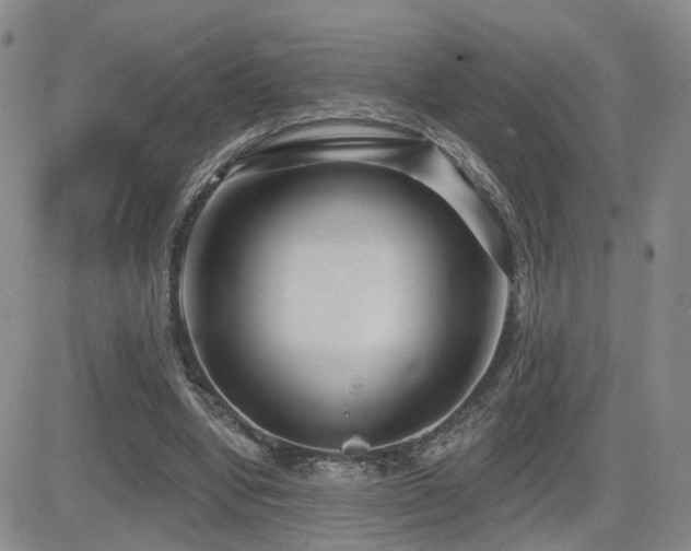 X0000081560442200701151151