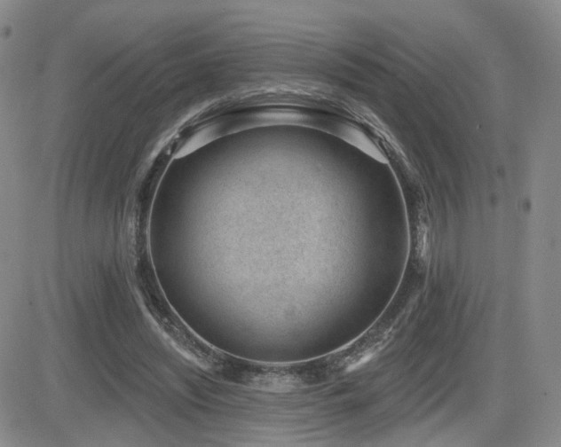 X0000081560444200701151151