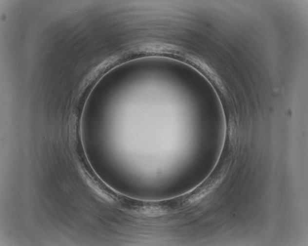 X0000081560445200701151151
