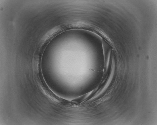 X0000081560446200701151151