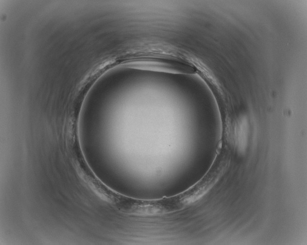 X0000081560449200701151151