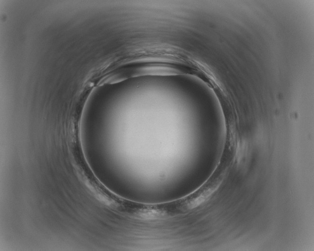 X0000081560453200701151151