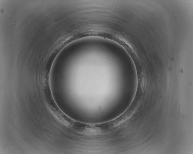 X0000081560455200701151151