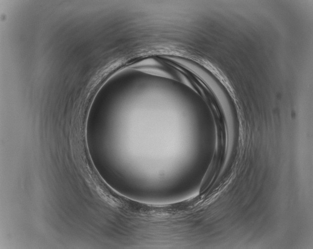 X0000081560481200701151150