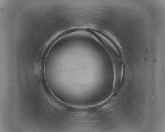X0000081560483200701151150