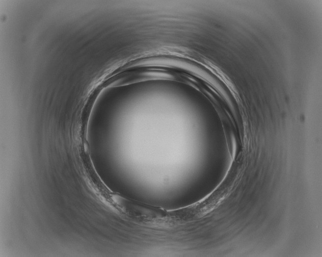 X0000081560485200701151150