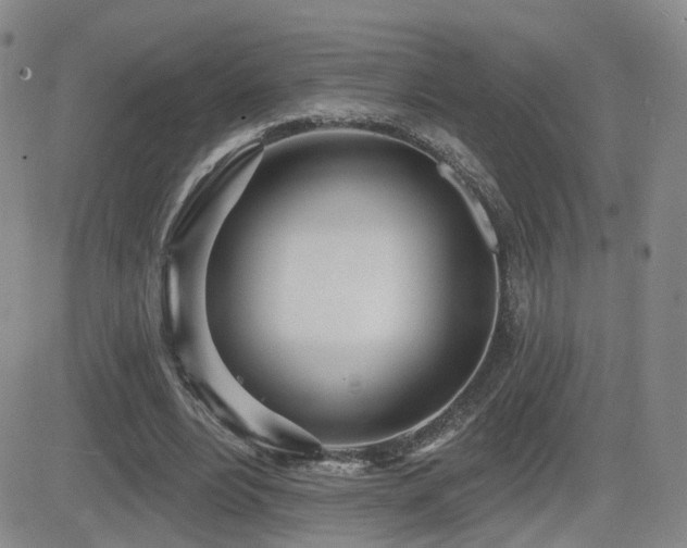 X0000081560488200701151150
