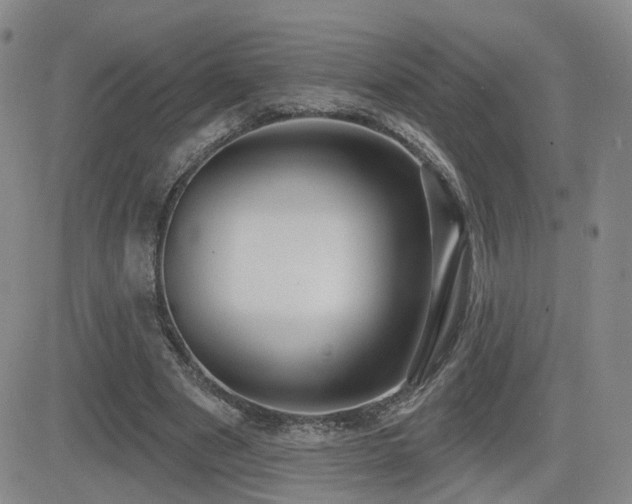 X0000081560489200701151150