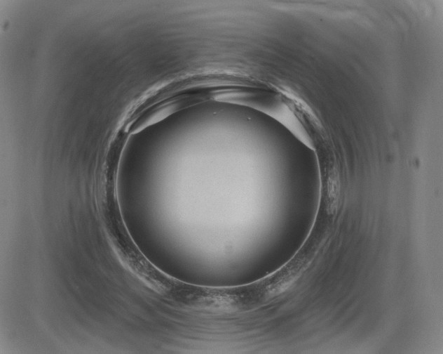 X0000081560492200701151150
