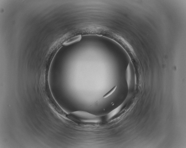 X0000081560493200701151150