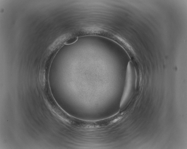 X0000081560494200701151150