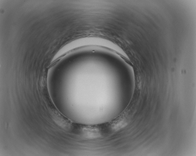 X0000081560515200701151150