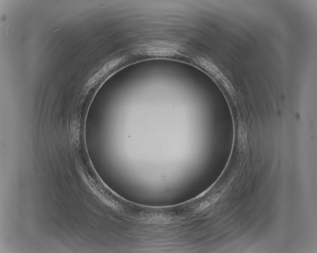 X0000081560533200701151149