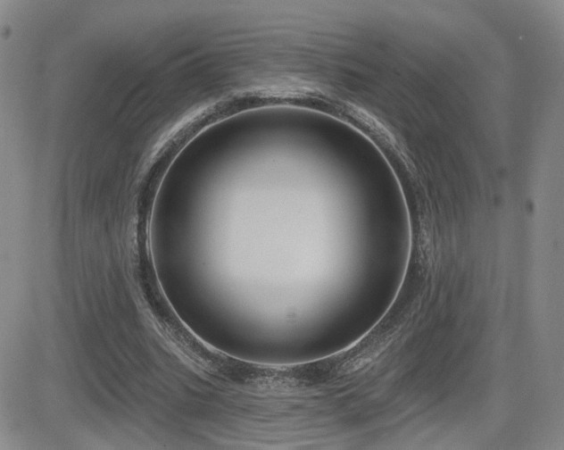 X0000081560535200701151149