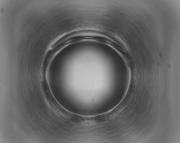 X0000081560536200701151149