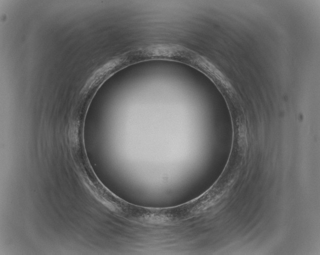 X0000081560537200701151149
