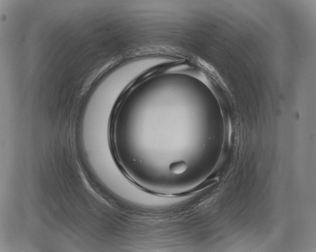 X0000081560538200701151149