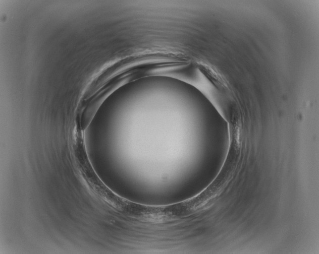 X0000081560540200701151149