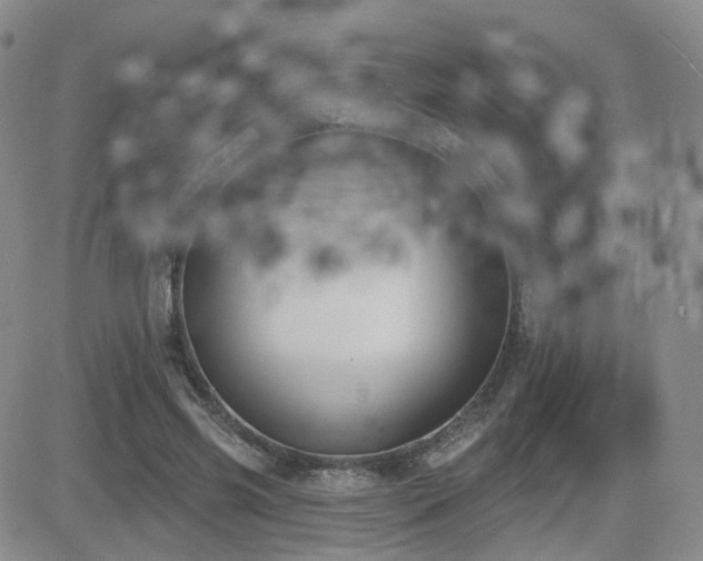 X0000081560541200701151149