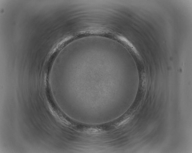X0000081560542200701151149