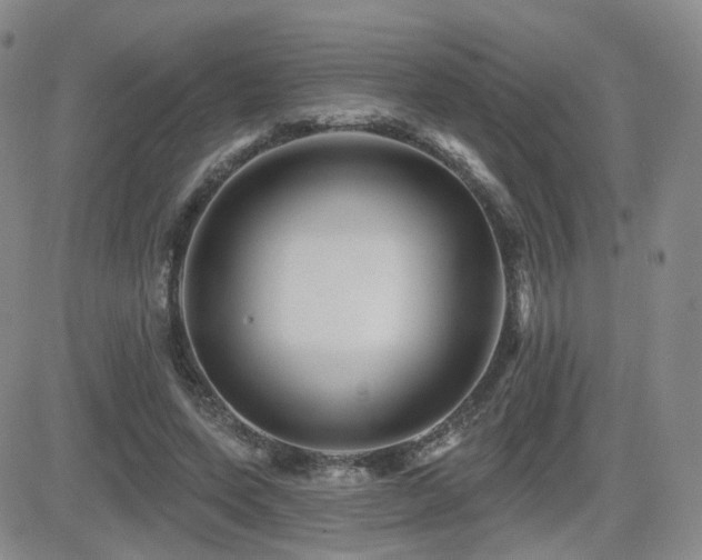 X0000081560543200701151149