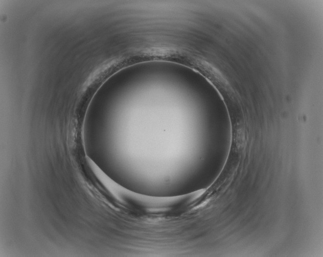 X0000081560544200701151149