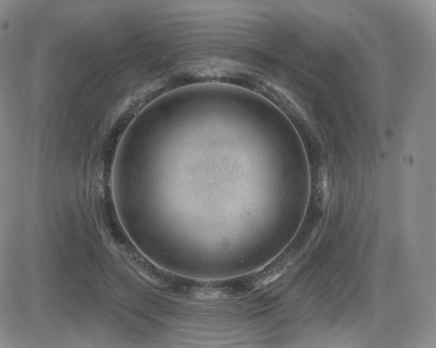 X0000081560547200701151149